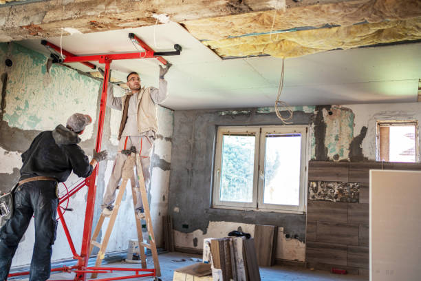 Best Insulation Maintenance and Repair in Marble Hill, MO